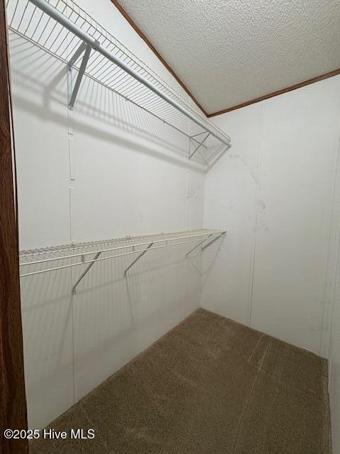 7040 Great Swamp Loop Lucama, NC 27851 - Photo 14 of 26 IMG_1750