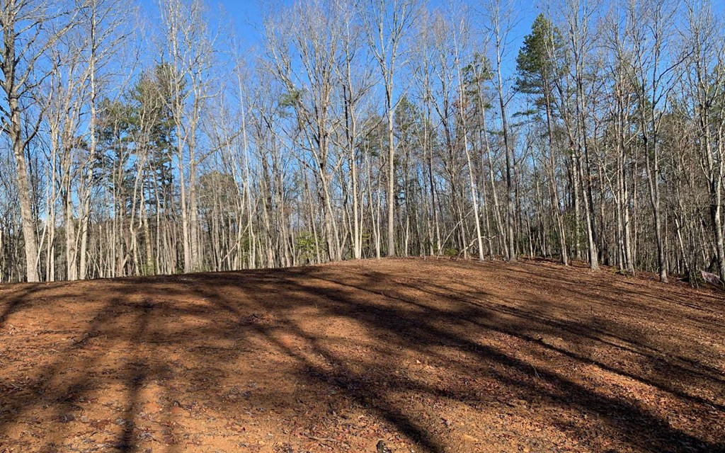 7-acres Payne Road Brasstown, NC 28902 - Photo 57 of 57 Gallery Image 57