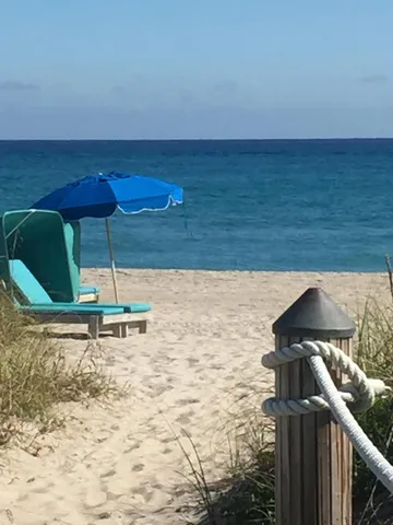 a bench sitting in the middle of a yard