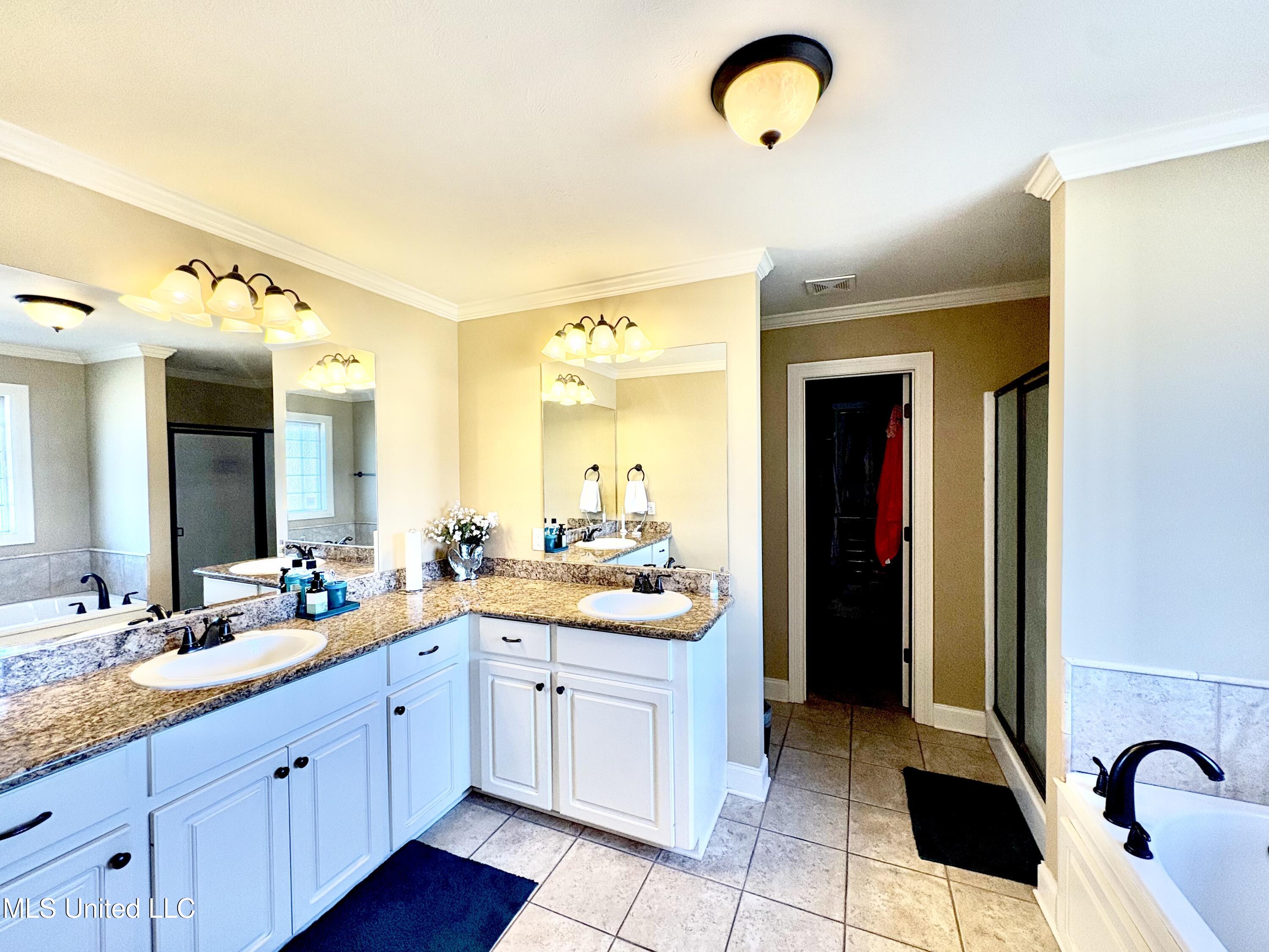 104 Northwind Drive Madison, MS 39110 - Photo 14 of 29 Master Bathroom