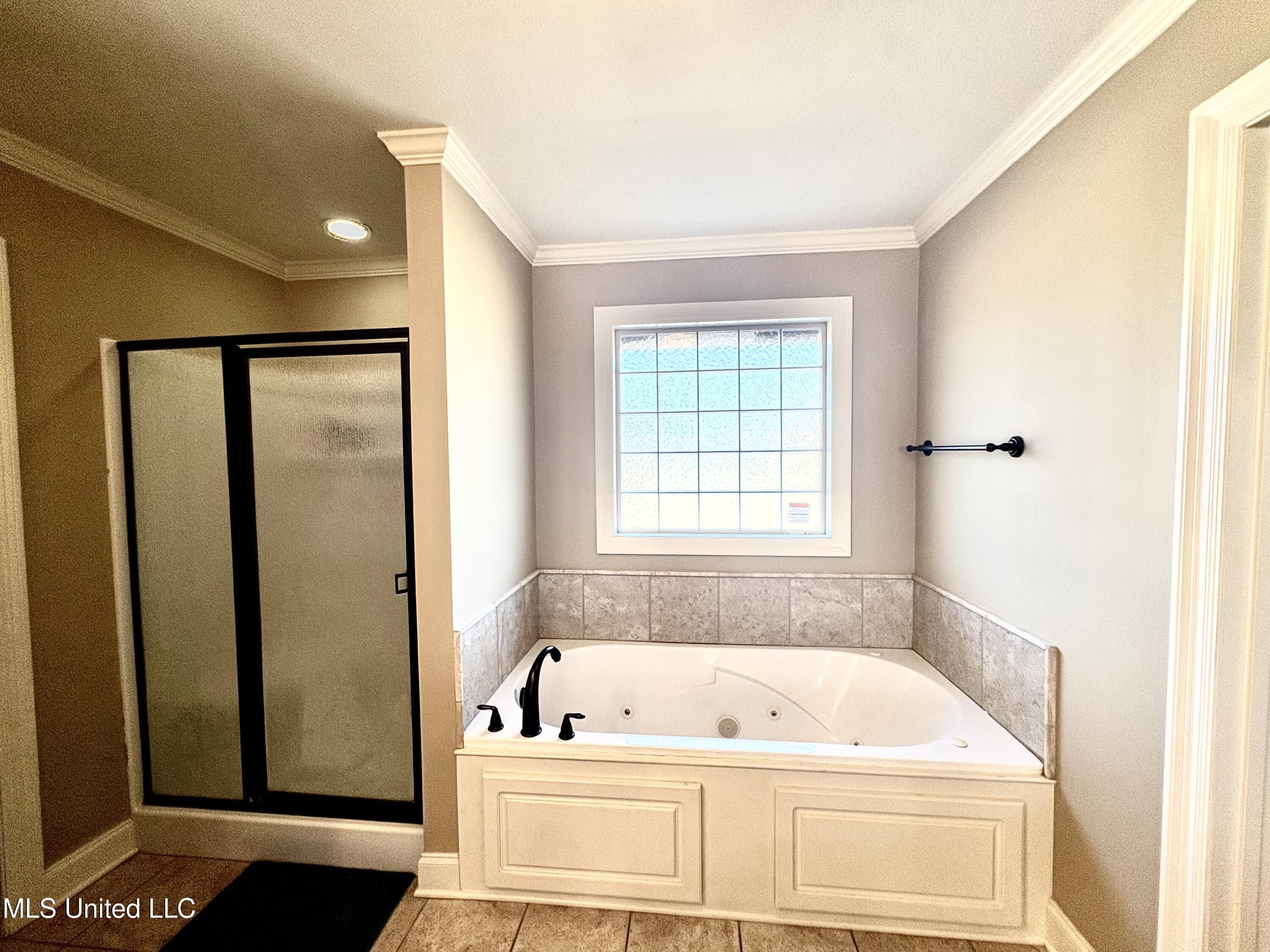 104 Northwind Drive Madison, MS 39110 - Photo 17 of 29 Master Tub & Shower