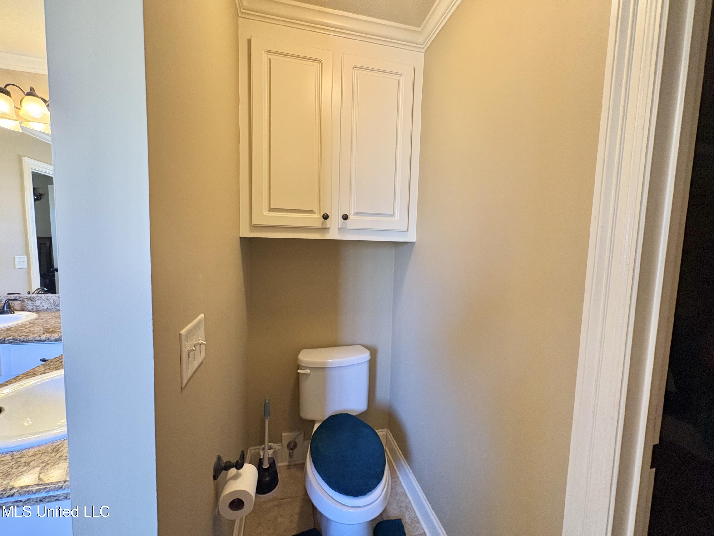 104 Northwind Drive Madison, MS 39110 - Photo 18 of 29 Toilet