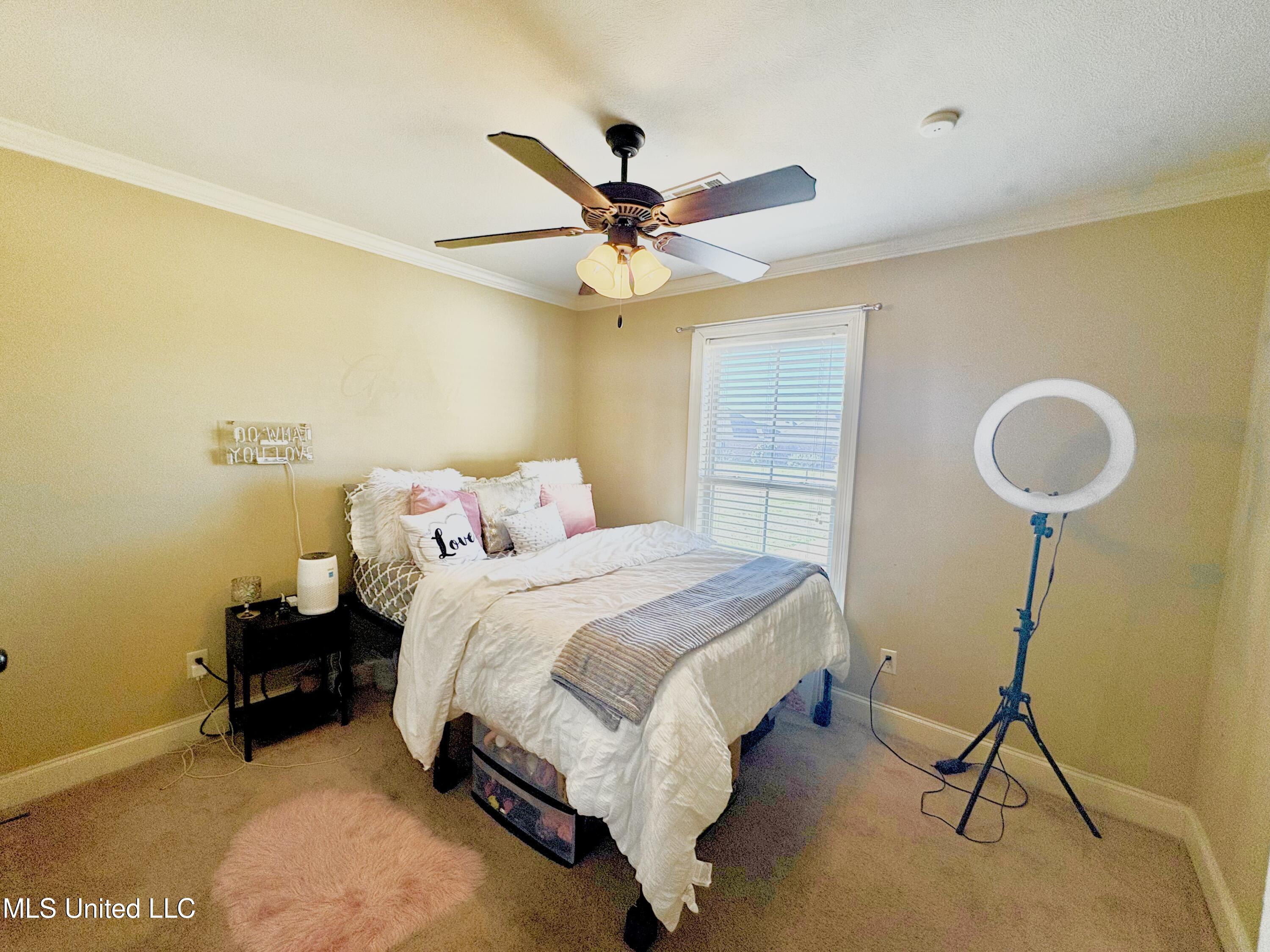 104 Northwind Drive Madison, MS 39110 - Photo 27 of 29 Bedroom #3