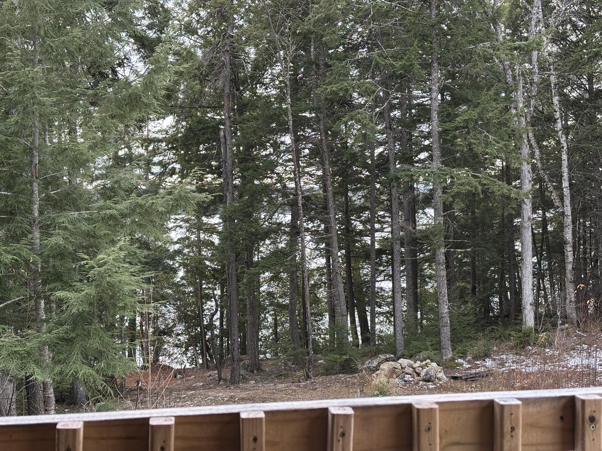 189 Horseshoe Cove Road Princeton, ME 04668 - Photo 12 of 28 IMG_6906