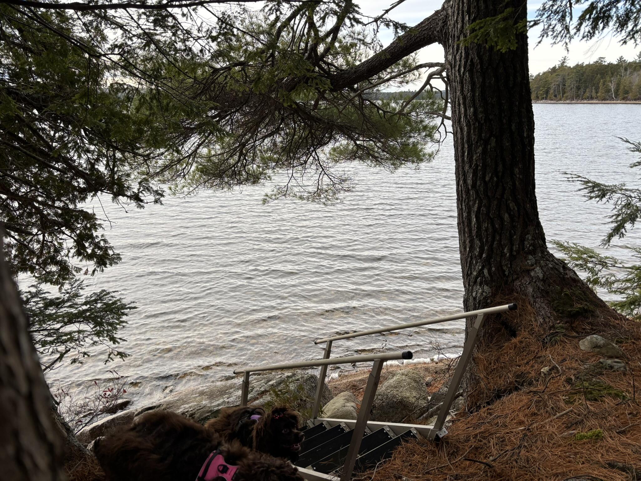 189 Horseshoe Cove Road Princeton, ME 04668 - Photo 3 of 28 IMG_6911