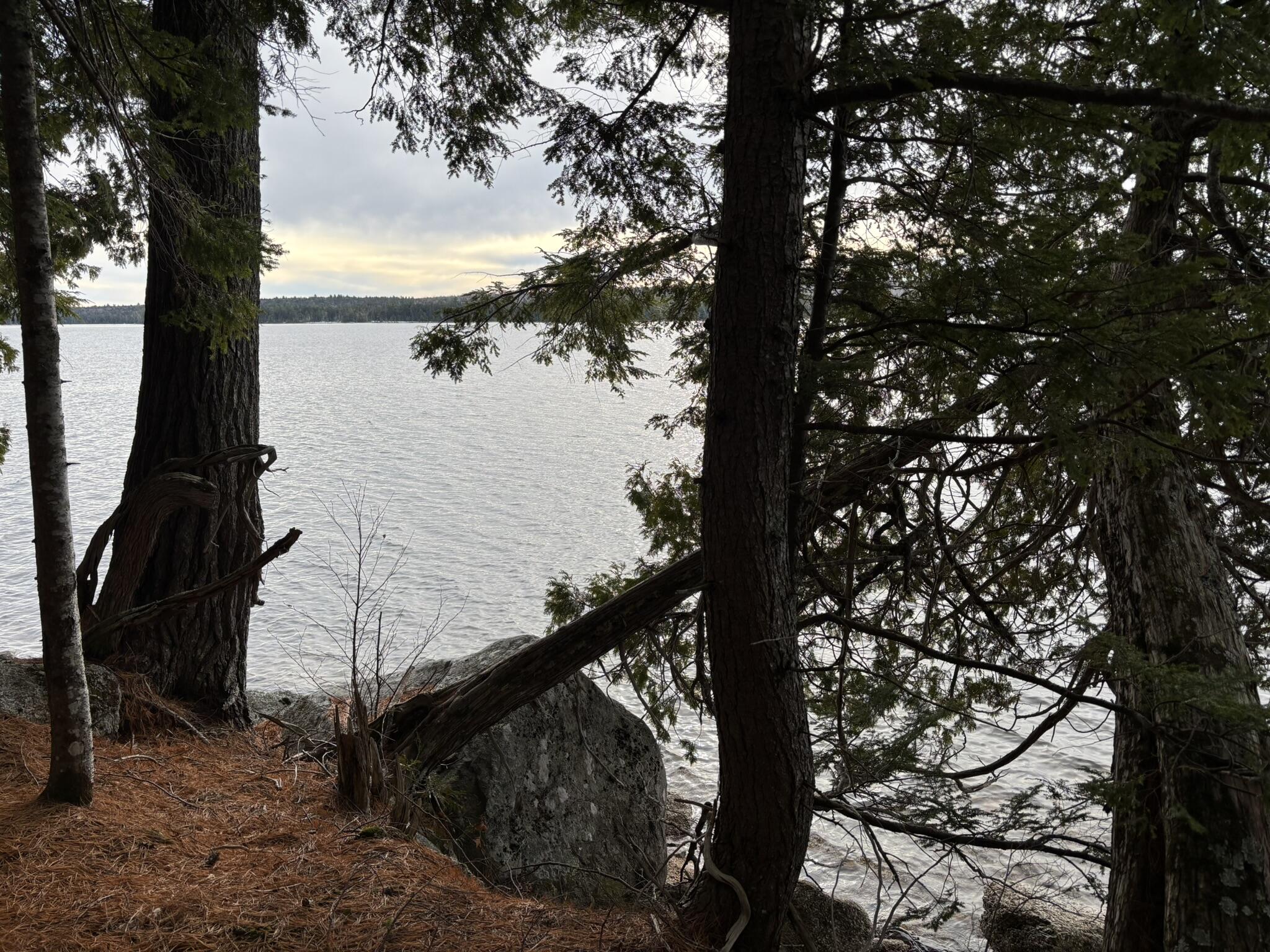 189 Horseshoe Cove Road Princeton, ME 04668 - Photo 4 of 28 IMG_6912