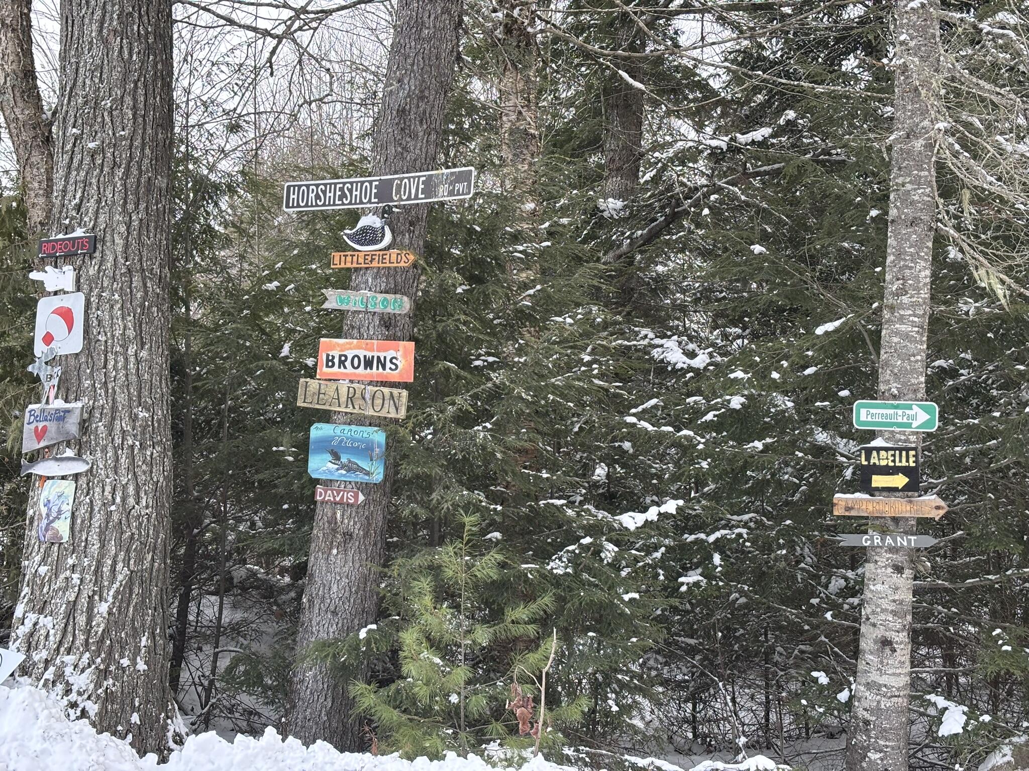 189 Horseshoe Cove Road Princeton, ME 04668 - Photo 6 of 28 IMG_7019