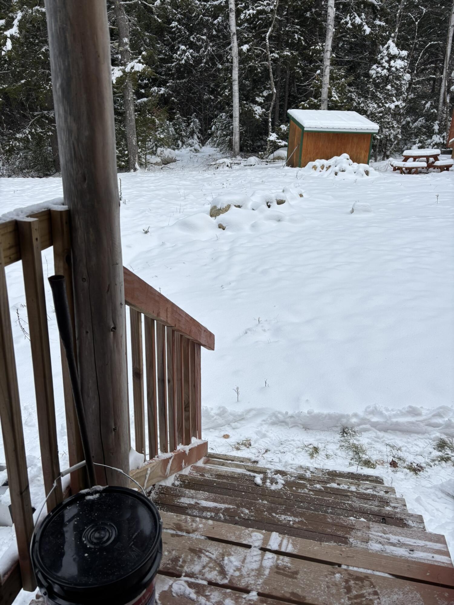 189 Horseshoe Cove Road Princeton, ME 04668 - Photo 9 of 28 IMG_7015