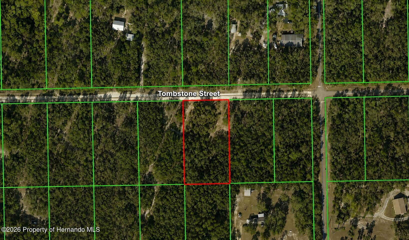 33240 Tombstone Street Webster, FL 33597 - Photo 1 of 5