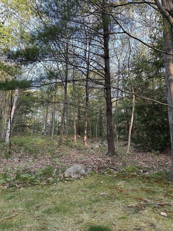 2 Orchard Lane Manchester, MA 01944 - Photo 15 of 16