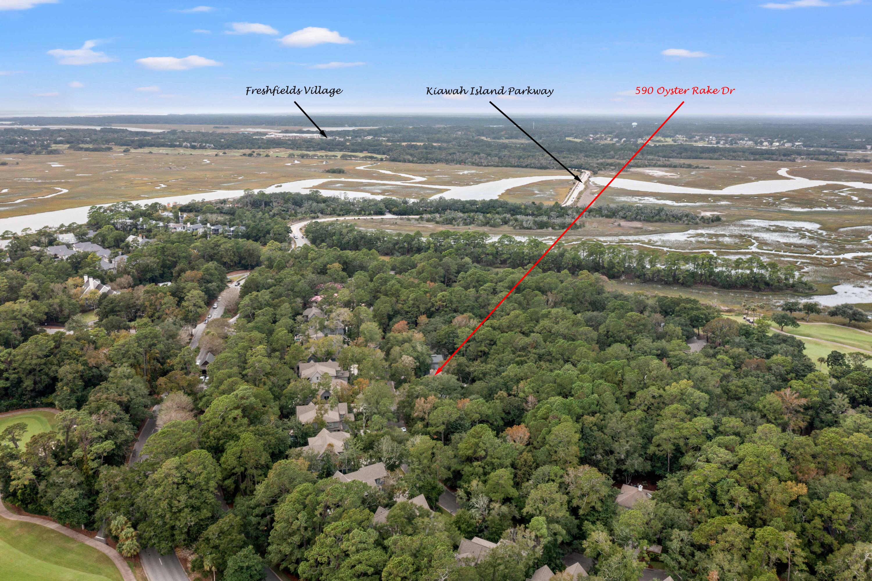 590 Oyster Rake Kiawah Island, SC 29455 - Photo 65 of 77 DJI_0579