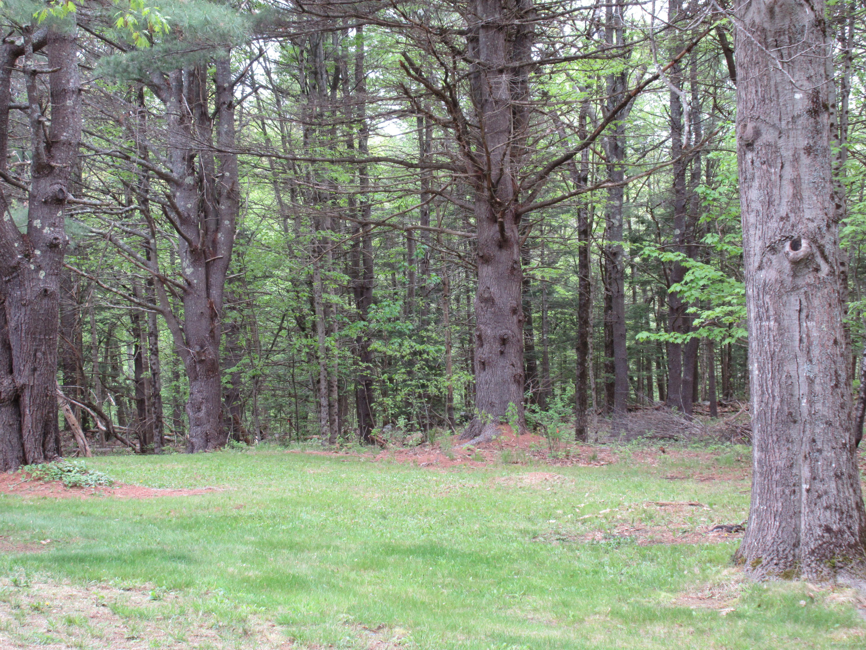 845 Stackpole Road Durham, ME 04222 - Photo 13 of 20 IMG_2190