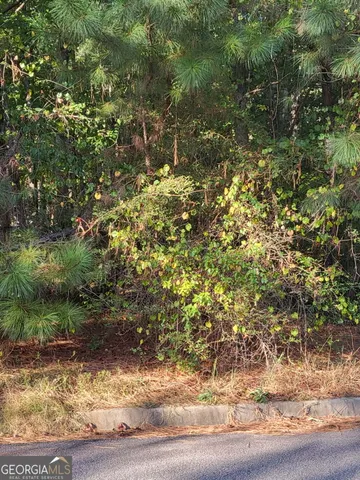 $64,999 | 1013 Columbus Drive, Jonesboro, GA 30236