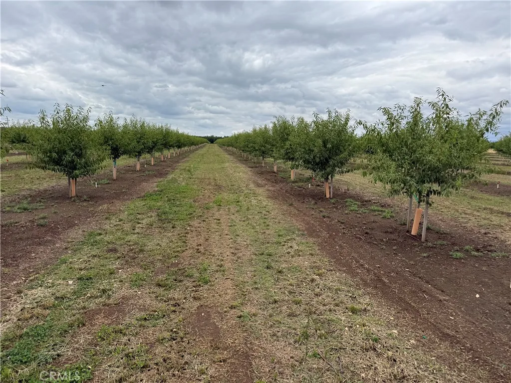 0 Hegan Chico, CA 95928 - Photo 1 of 4