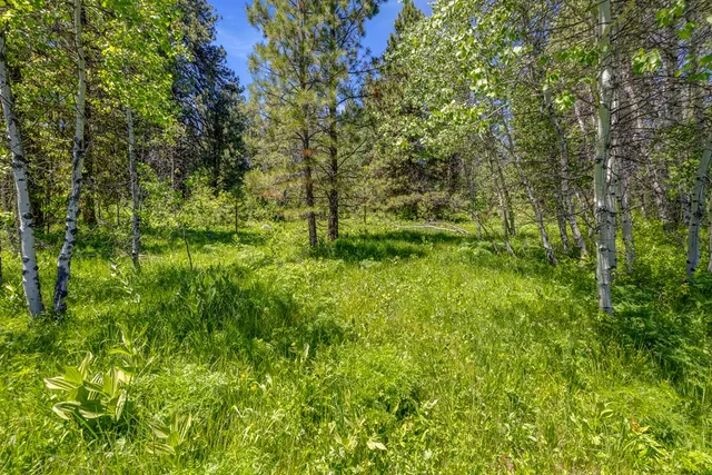 $1,200,000 | 1125 Meadows Road, McCall, ID 83638