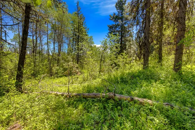 $1,200,000 | 1125 Meadows Road, McCall, ID 83638