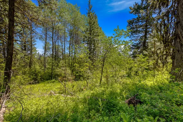 $1,200,000 | 1125 Meadows Road, McCall, ID 83638