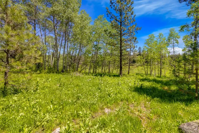 $1,200,000 | 1125 Meadows Road, McCall, ID 83638