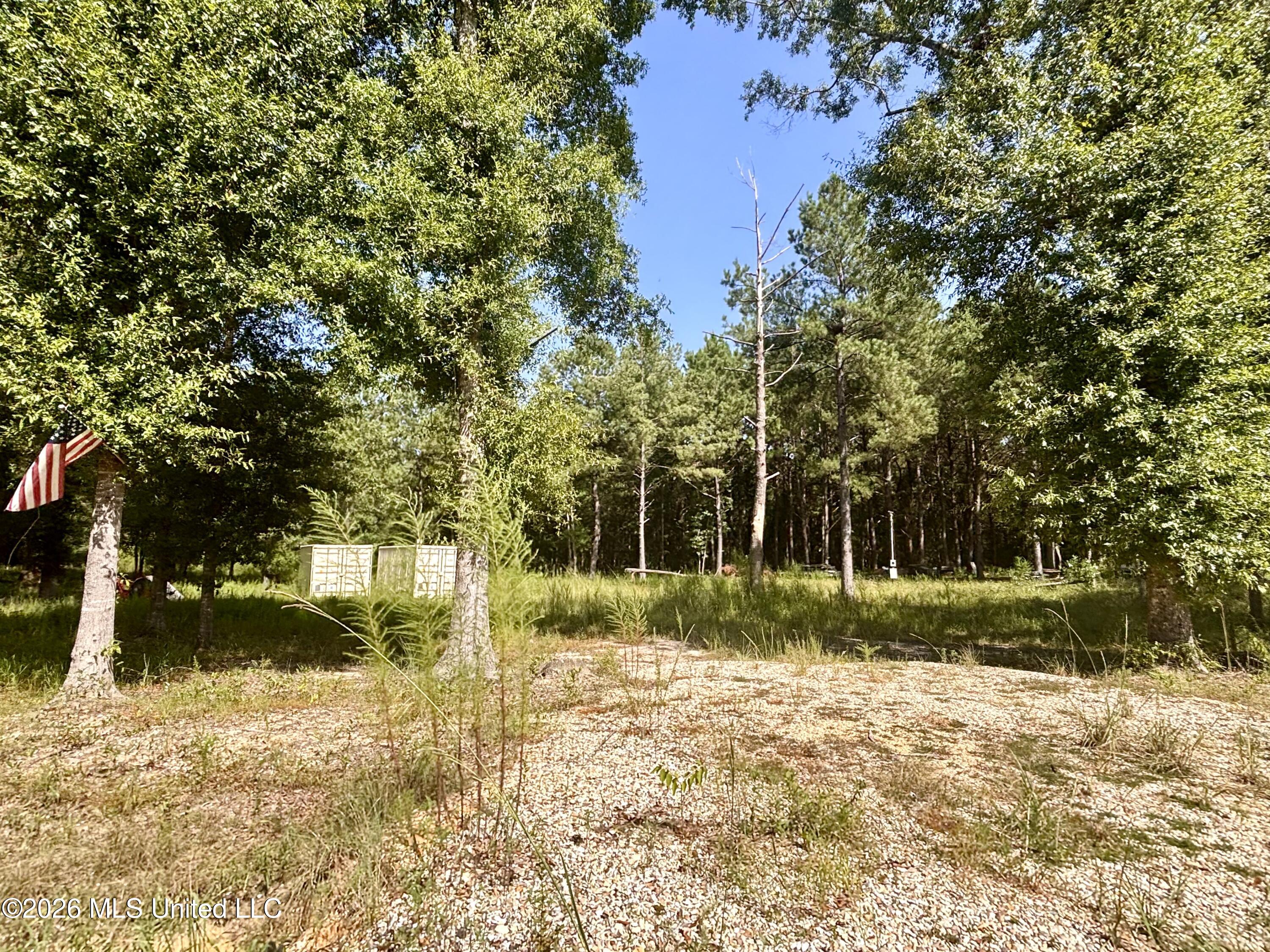 0 Robert Rhodes Road Poplarville, MS 39470 - Photo 1 of 11 IMG_3174