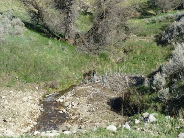 $300,000 | 16 Driftwood Lane, Buffalo, WY 82834