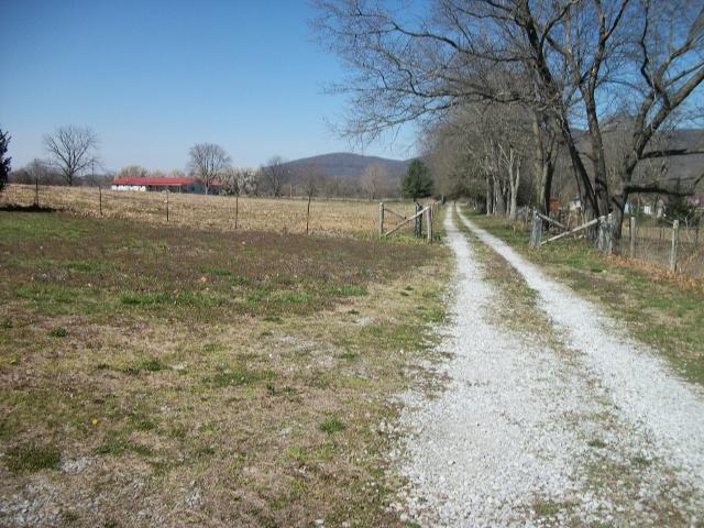 85 McCormick Road Morrison, TN 37357 - Photo 11 of 20