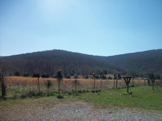 85 McCormick Road Morrison, TN 37357 - Photo 4 of 20