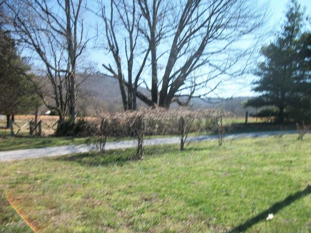 85 McCormick Road Morrison, TN 37357 - Photo 10 of 20
