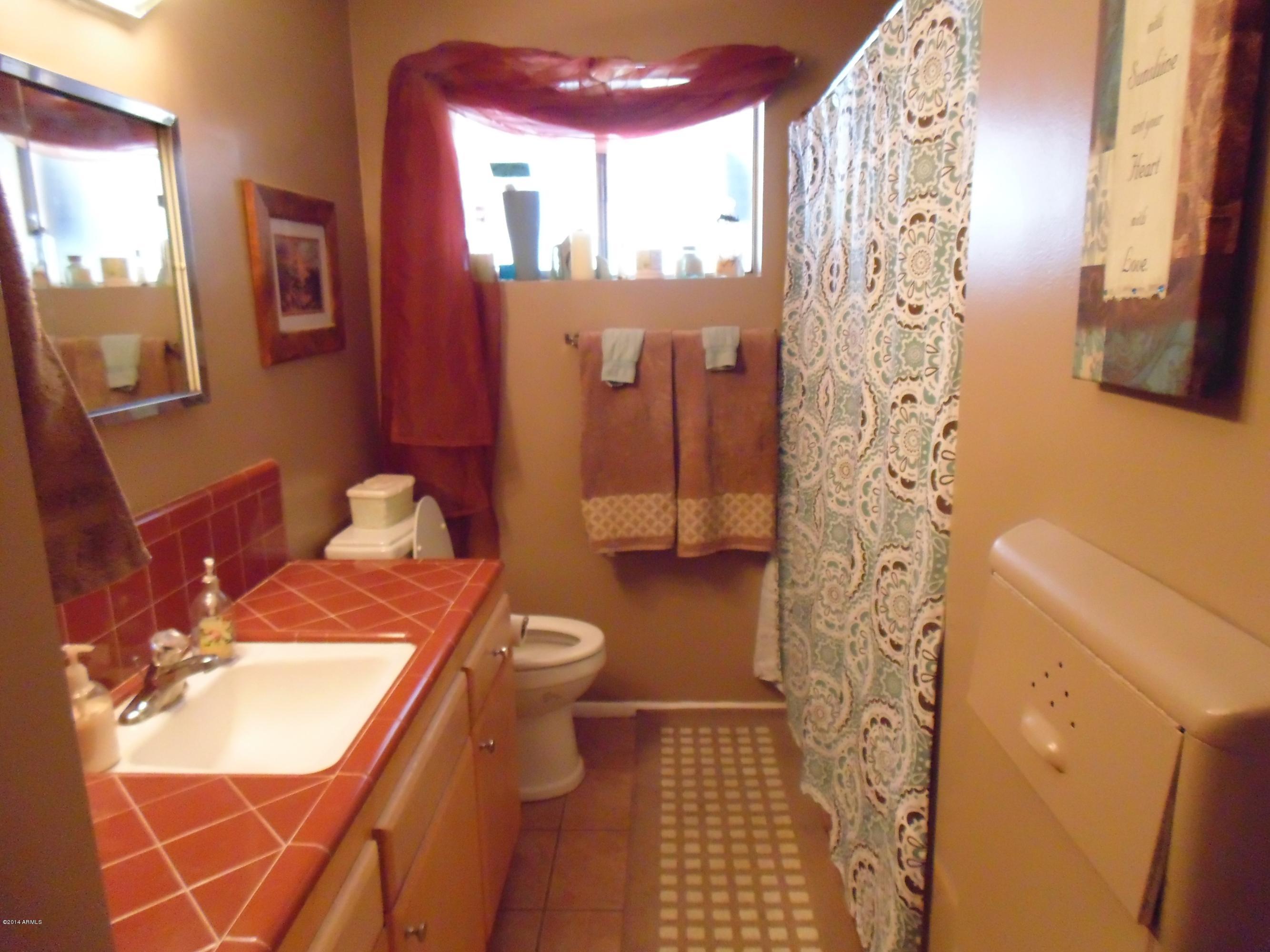 1518 North Power Road Mesa, AZ 85205 - Photo 17 of 22 Main bathroom