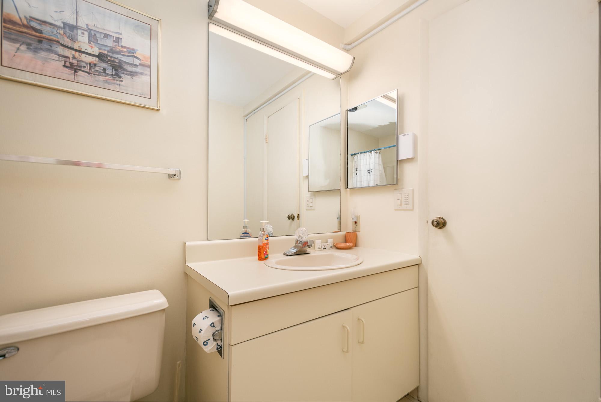 18 Winding Way, Unit 18D McHenry, MD 21541 - Photo 28 of 48 a bathroom with a sink and a toilet