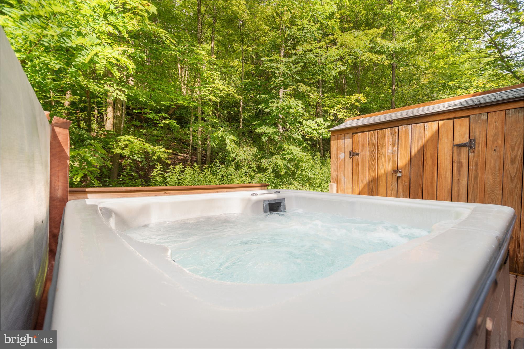 18 Winding Way, Unit 18D McHenry, MD 21541 - Photo 39 of 48