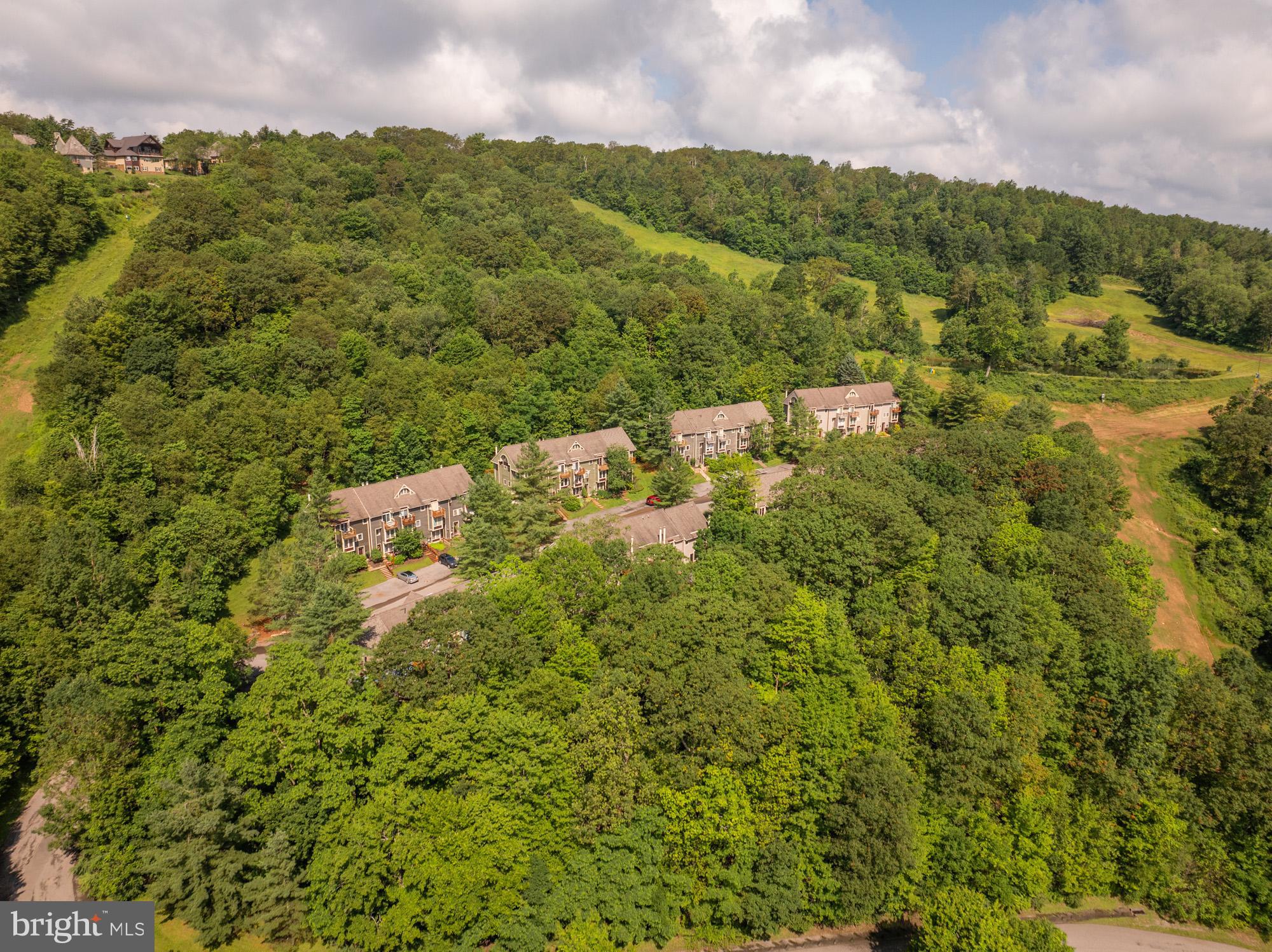 18 Winding Way, Unit 18D McHenry, MD 21541 - Photo 43 of 48 a view of a field with an ocean