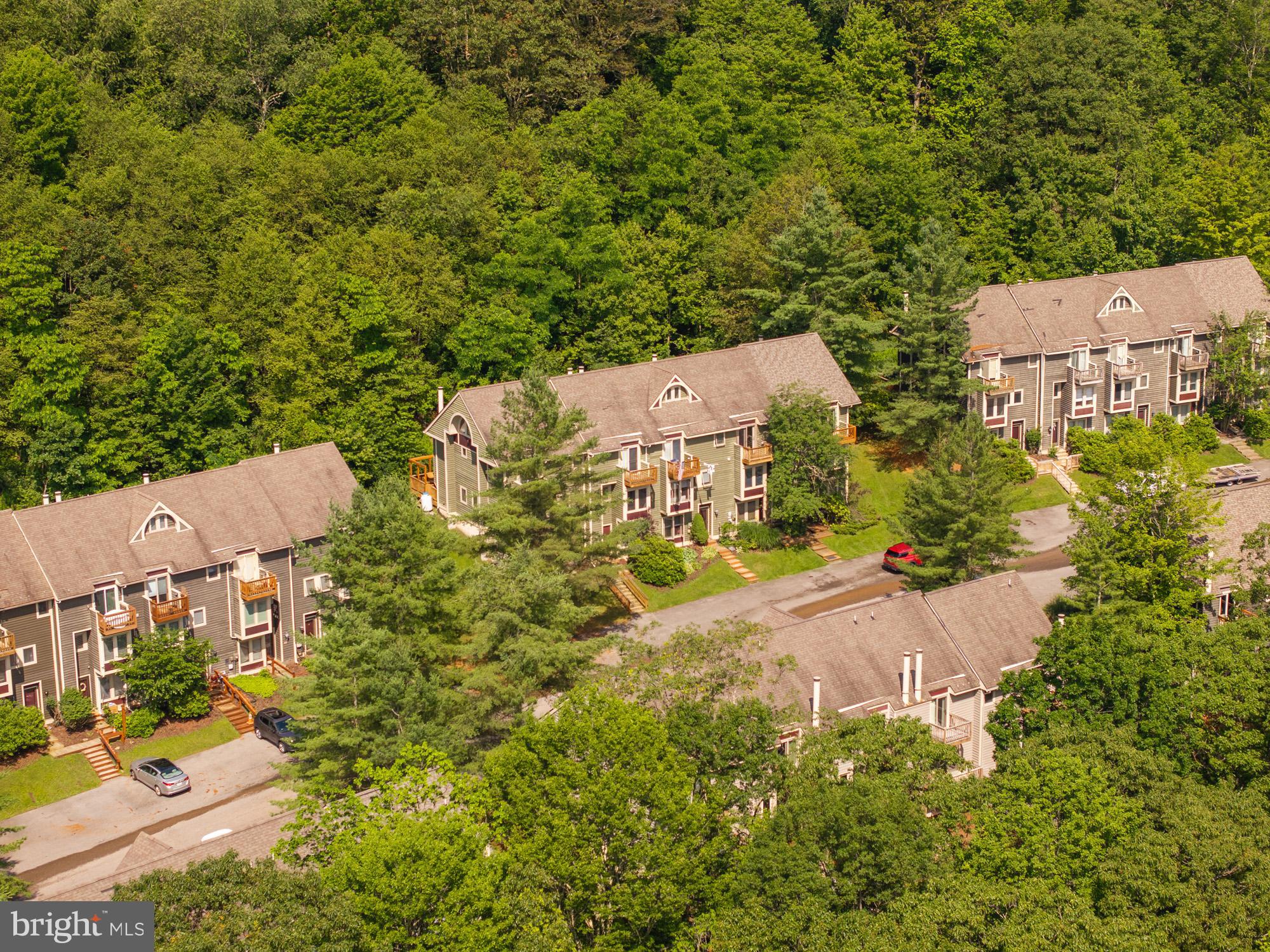 18 Winding Way, Unit 18D McHenry, MD 21541 - Photo 44 of 48 an aerial view of residential houses with outdoor space and trees