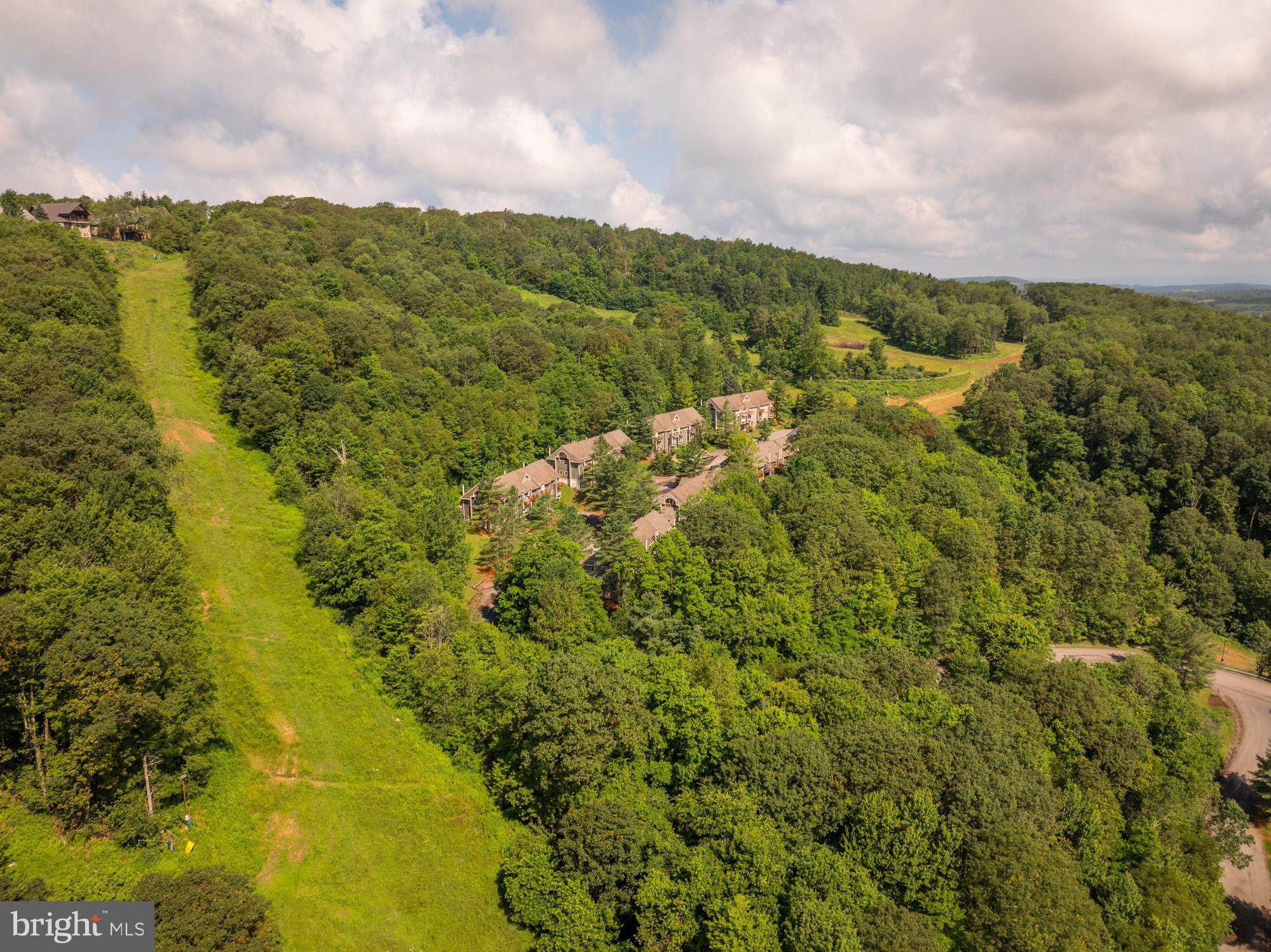 18 Winding Way, Unit 18D McHenry, MD 21541 - Photo 5 of 48 a view of a city with lush green forest