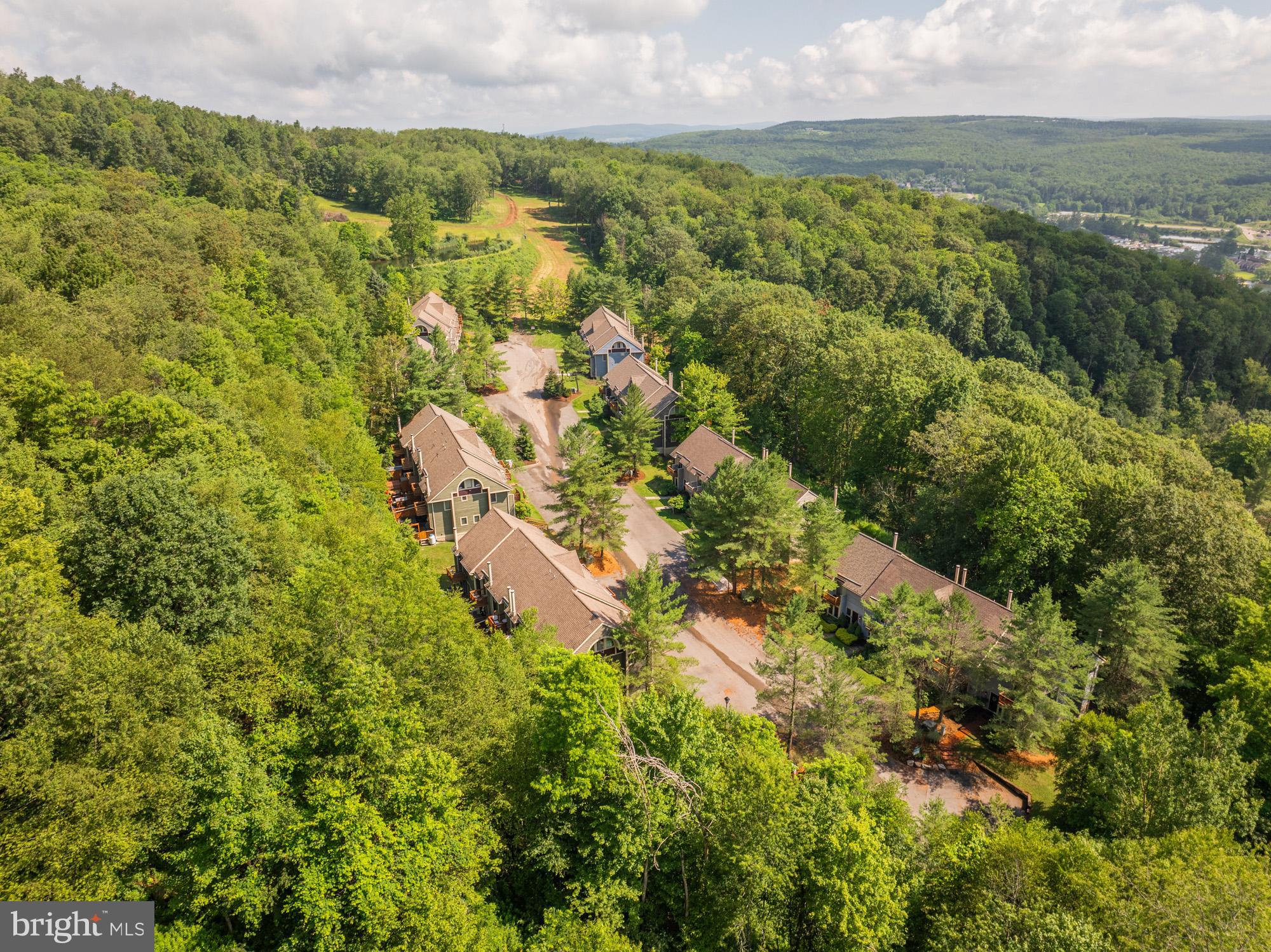 18 Winding Way, Unit 18D McHenry, MD 21541 - Photo 8 of 48 a view of a garden