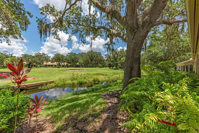 a view of a garden with a tree