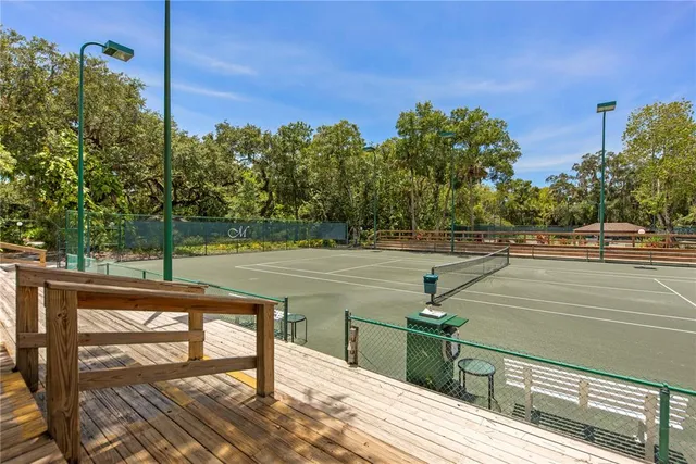 a view of a park with large trees