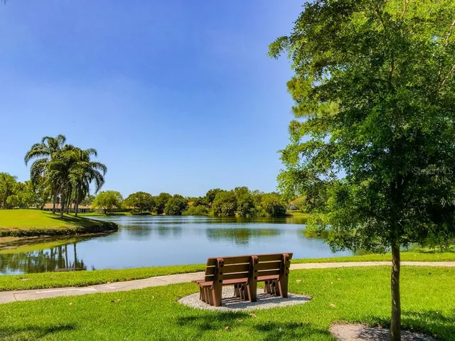 a view of a park with large trees