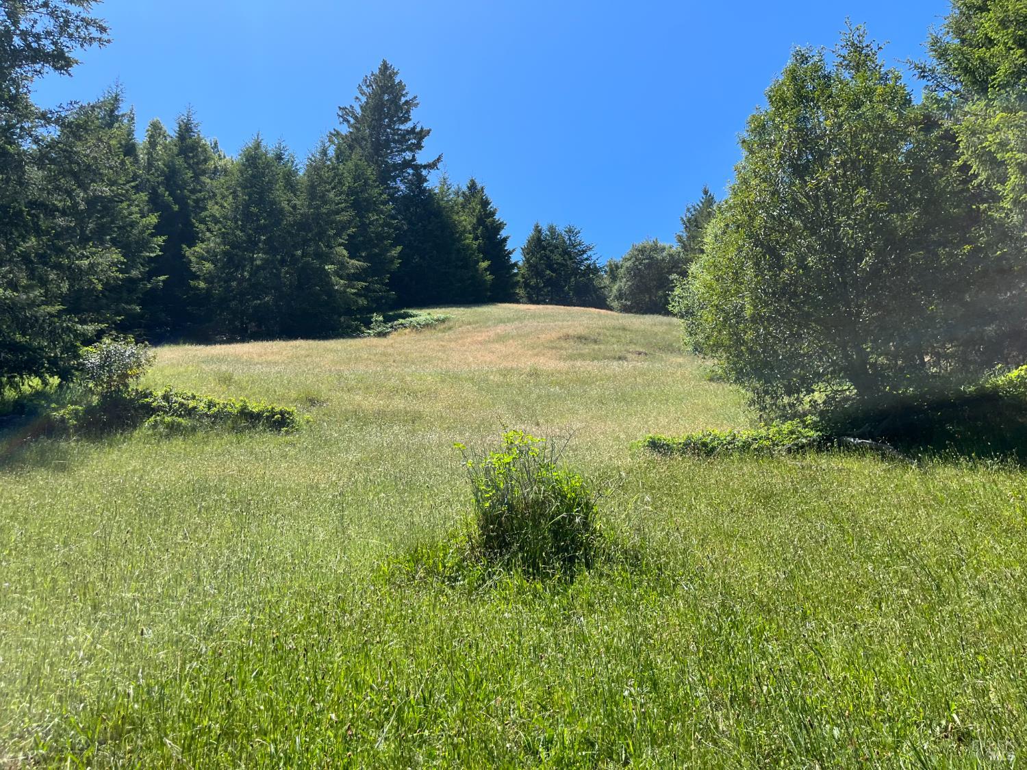 38555 Hauser Bridge Road Cazadero, CA 95421 - Photo 53 of 93