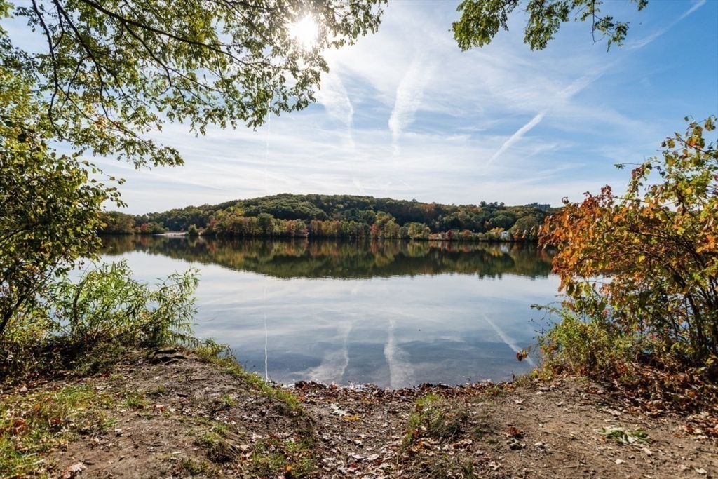 211 June Street, Unit 2 Worcester, MA 01602 - Photo 26 of 34