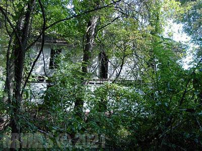 Tbd Runnett Bag Road Floyd, VA 24091 - Photo 11 of 15 Gallery Image 11