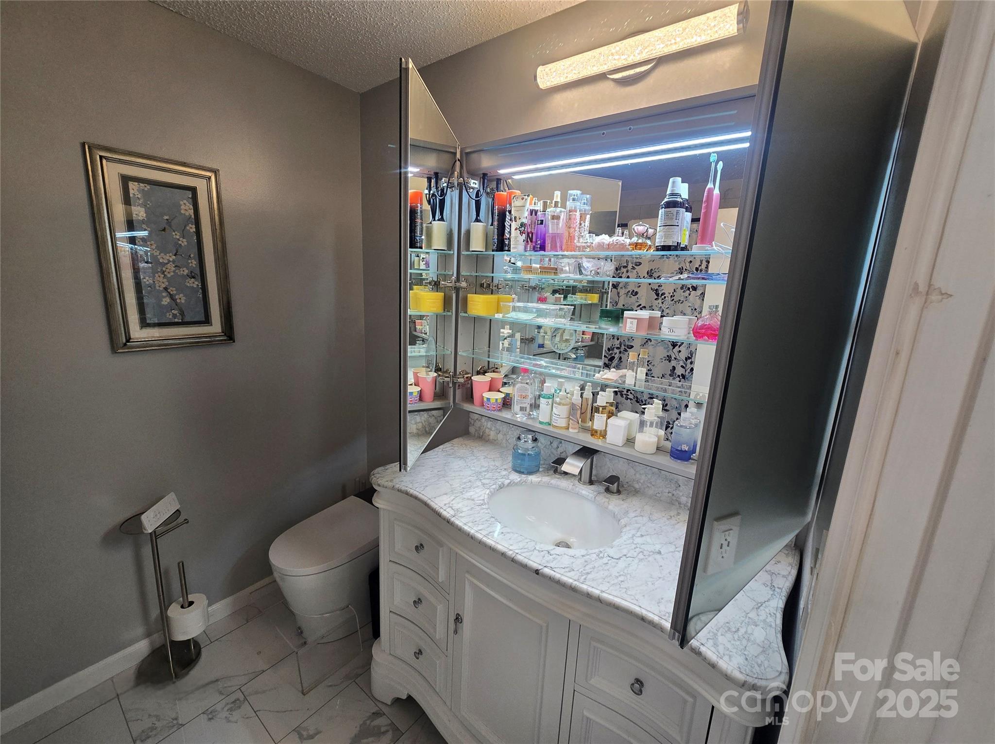 5202 Robin Lane Randleman, NC 27317 - Photo 13 of 48 a bathroom with a sink mirror and toilet