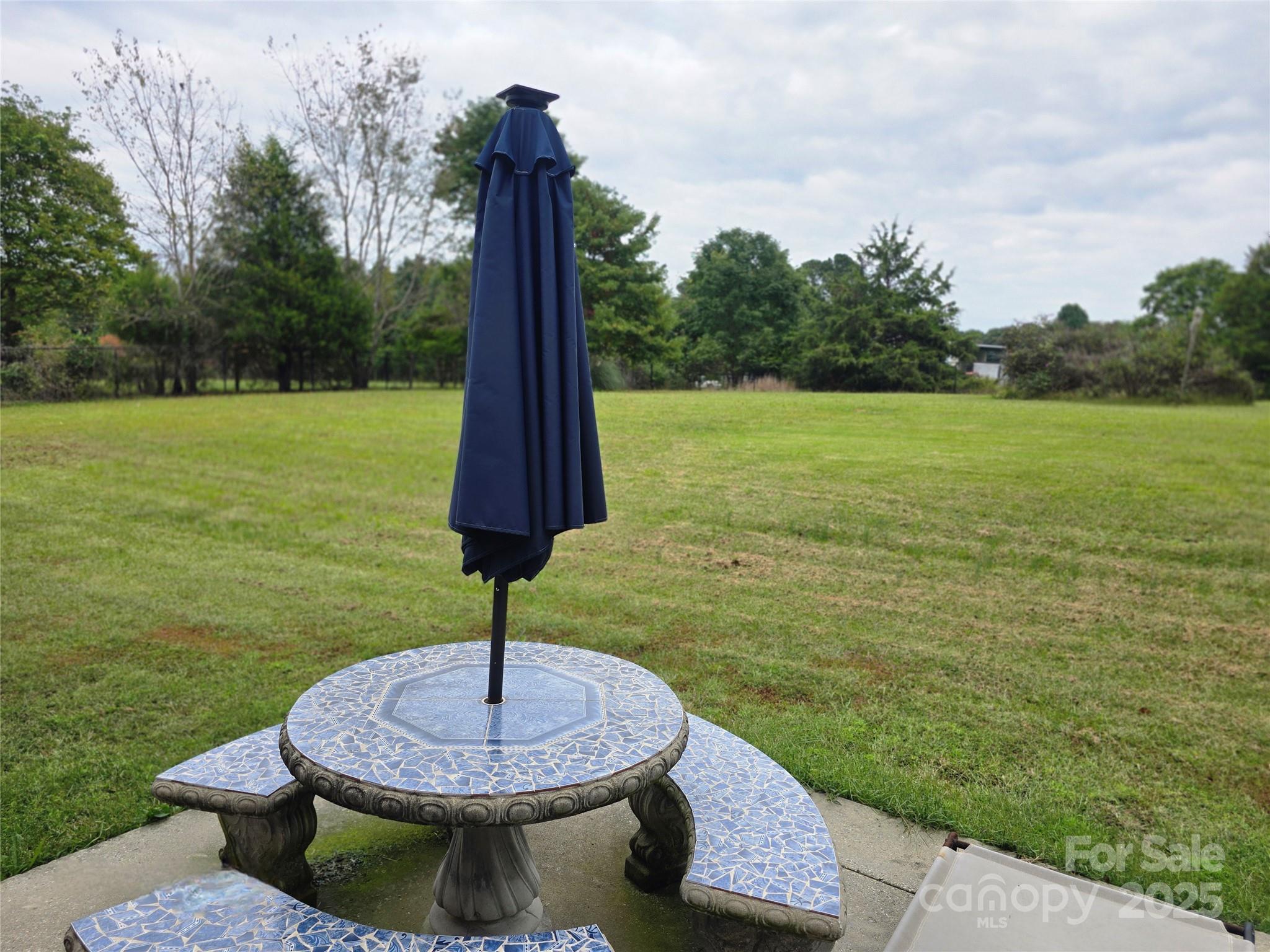 5202 Robin Lane Randleman, NC 27317 - Photo 37 of 48 a view of a garden with a fountain