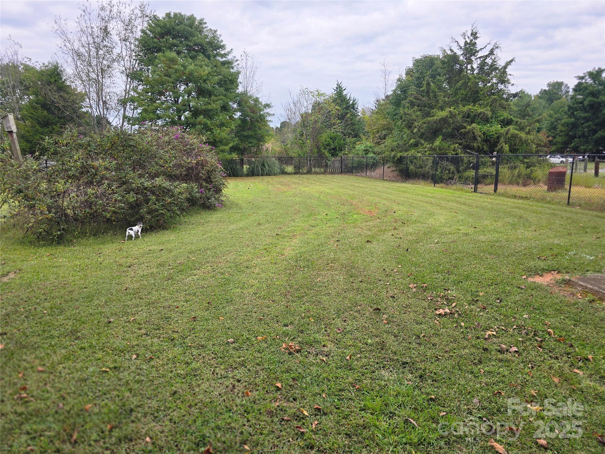 5202 Robin Lane Randleman, NC 27317 - Photo 41 of 48 a view of a green yard with a house