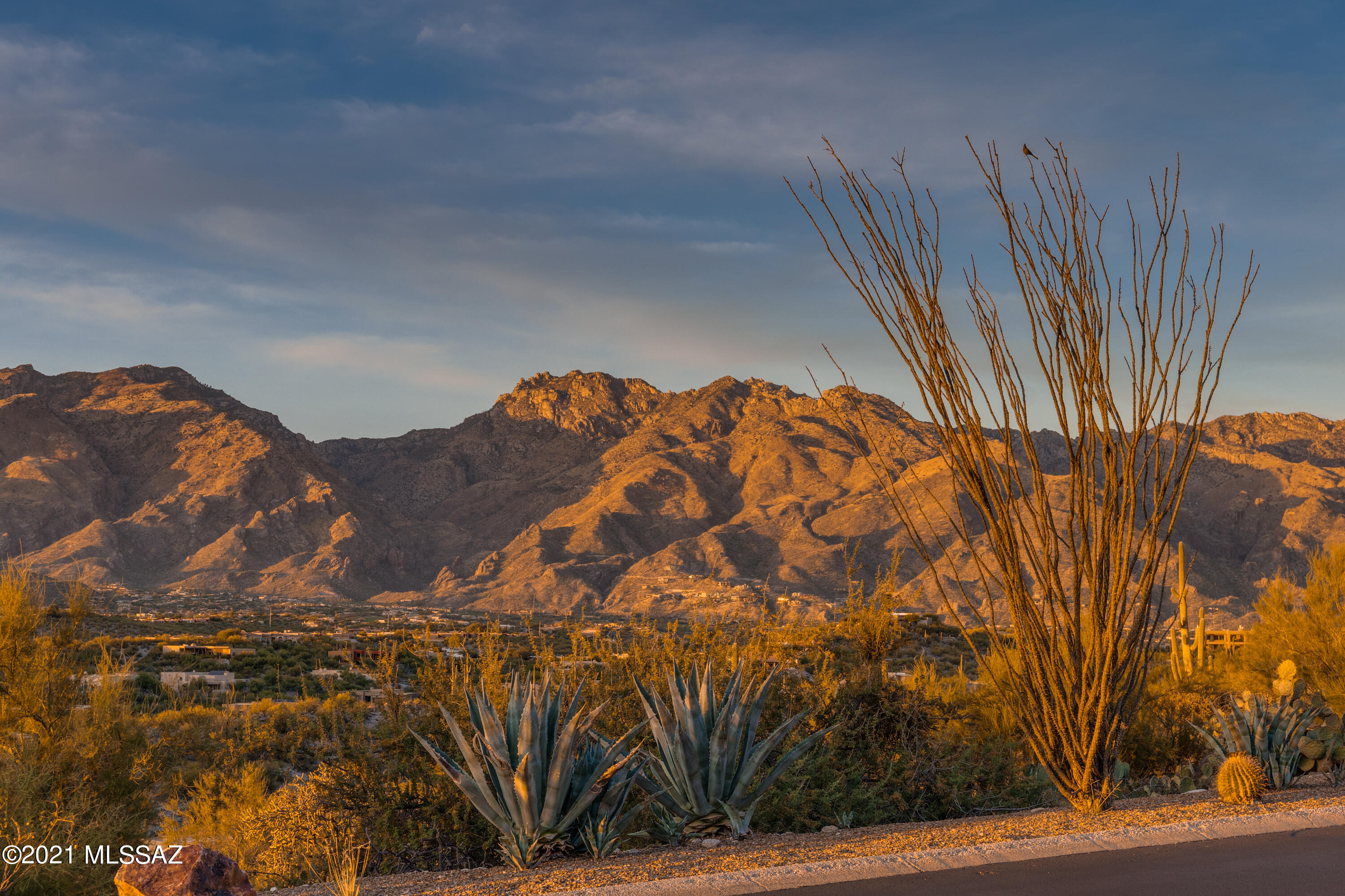 6800 Vía Colorada Tucson, AZ 85750 - Photo 39 of 47 Gallery Image 39