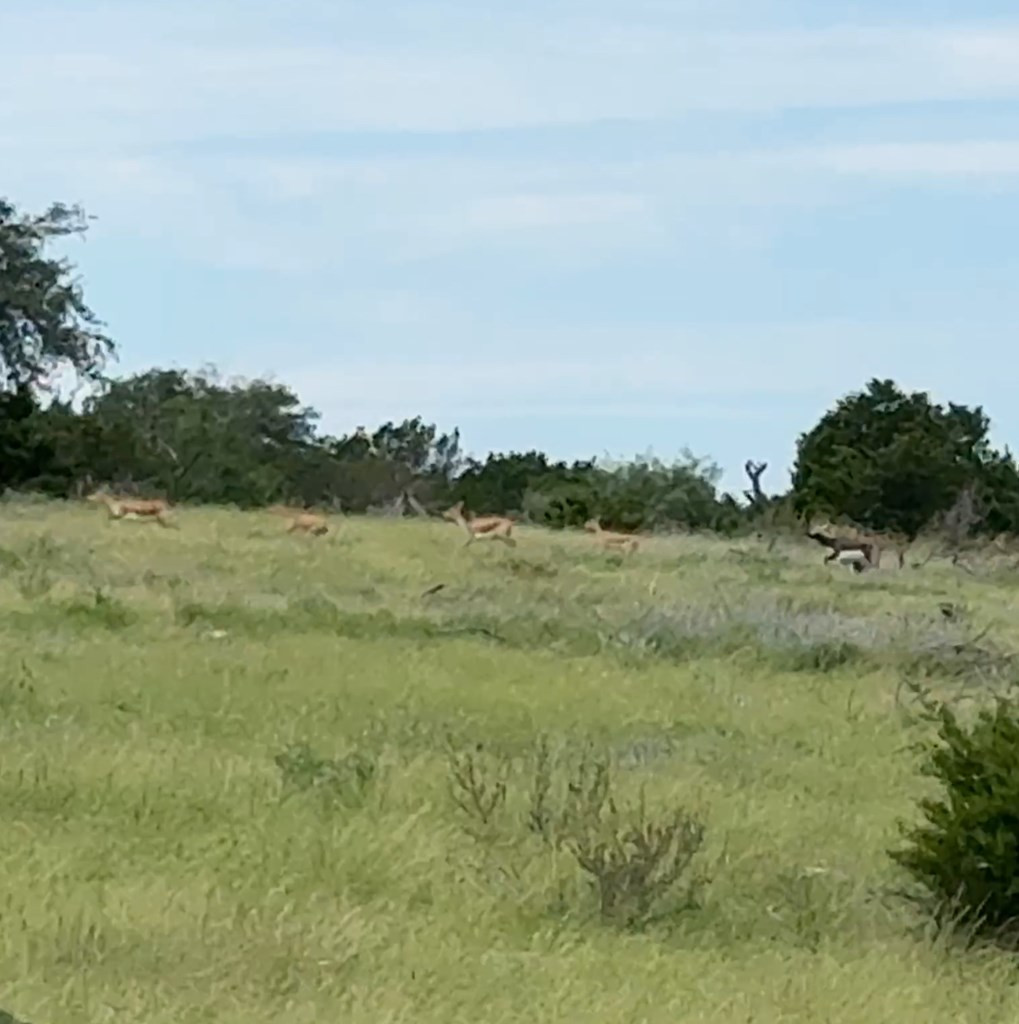 3420 Northeast County Road Sonora, TX 76950 - Photo 18 of 94 Photo 19