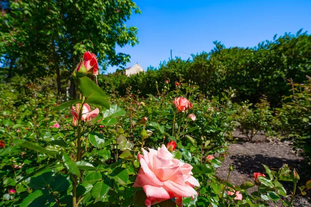 $7,600,000 | 8790-9000 Highway 128, Philo, CA 95466