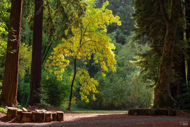 $7,600,000 | 8790-9000 Highway 128, Philo, CA 95466