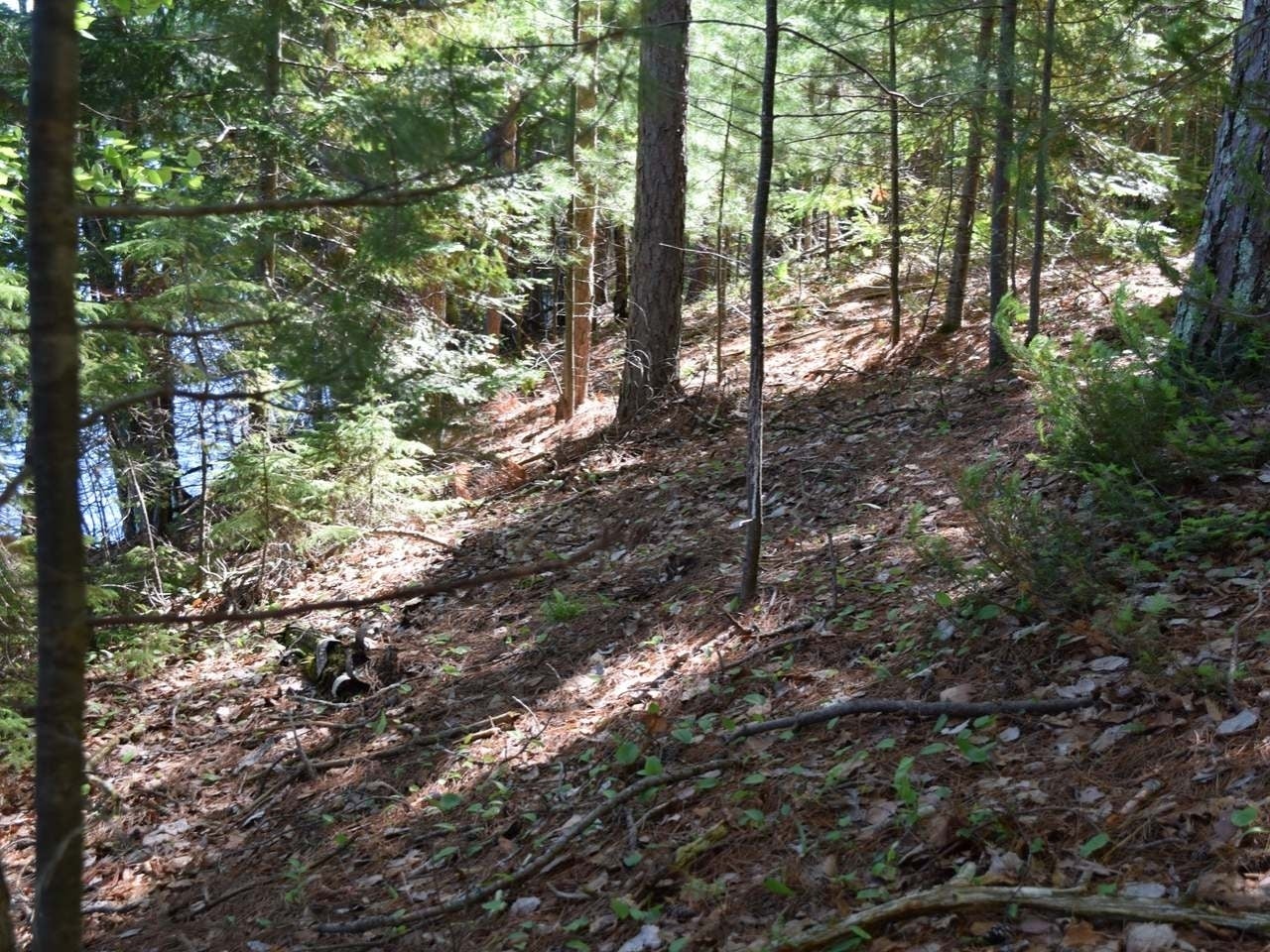 On On Cth C, Unit LOT 1 Rhinelander, WI 54501 - Photo 5 of 16 Gallery Image 5