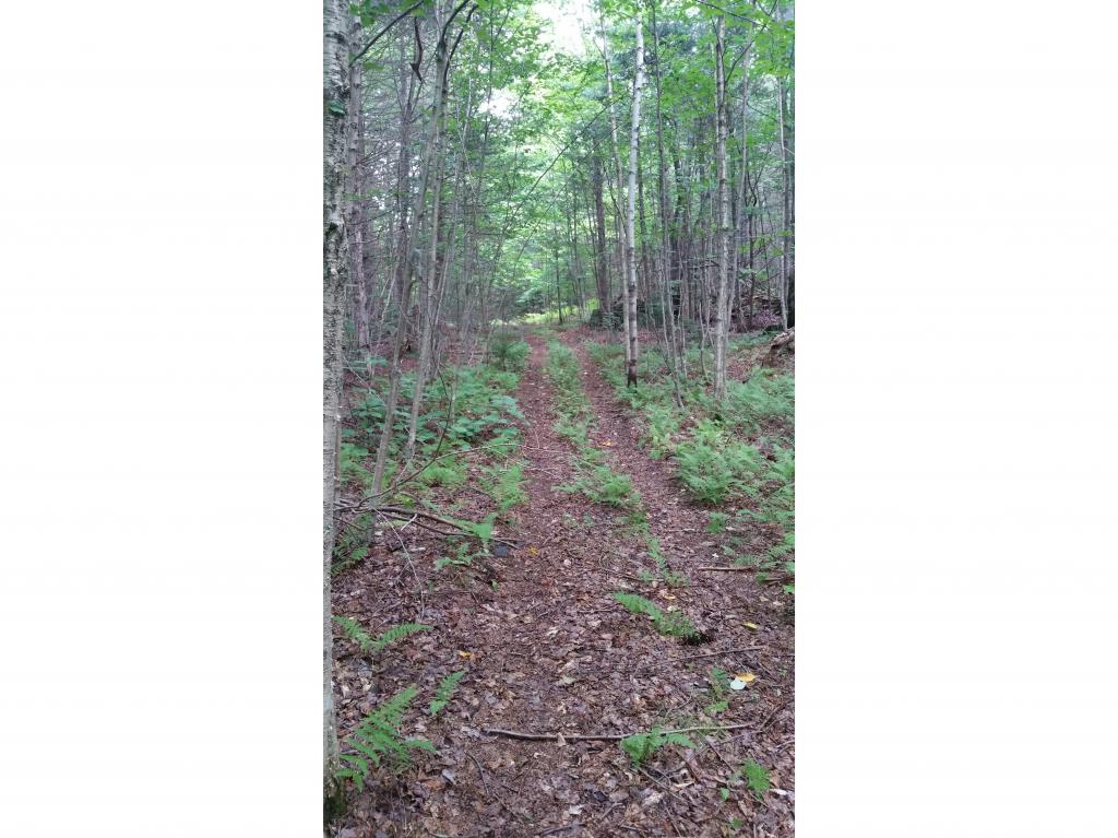 Lot 17 Rue Madeline Readsboro, VT 05350 - Photo 2 of 11
