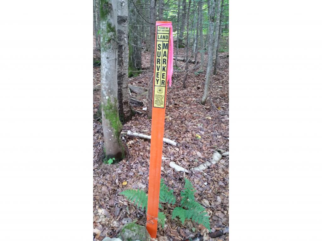 Lot 17 Rue Madeline Readsboro, VT 05350 - Photo 3 of 11